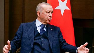 Turkish President Recep Tayyip Erdogan has strongly criticised the ambassadors.