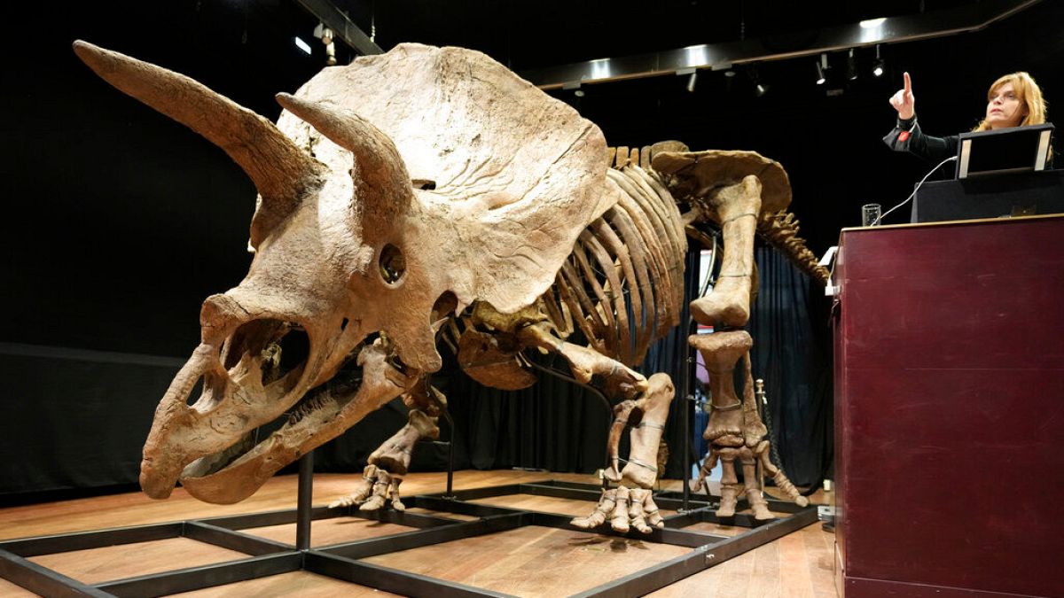 Dinosaurierskelett in Paris versteigert - 6,6 Mio. Euro für "Big John" 