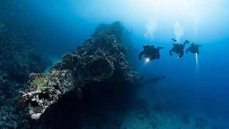 The Red Sea Explorers inspect shipwreck.