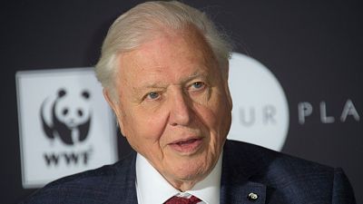 Sir David Attenborough poses for photographers upon arrival for a WWF announcement and State of the Planet Address in Westminster on Nov 8, 2018