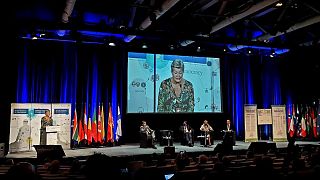 Europäische Sicherheitskonferenz in Nizza - Mehr Zusammenarbeit im Kampf gegen Kriminalität