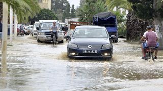 سيارة تسير على طريق غمرته المياه بعد هطول أمطار غزيرة في ولاية نابل التونسية.