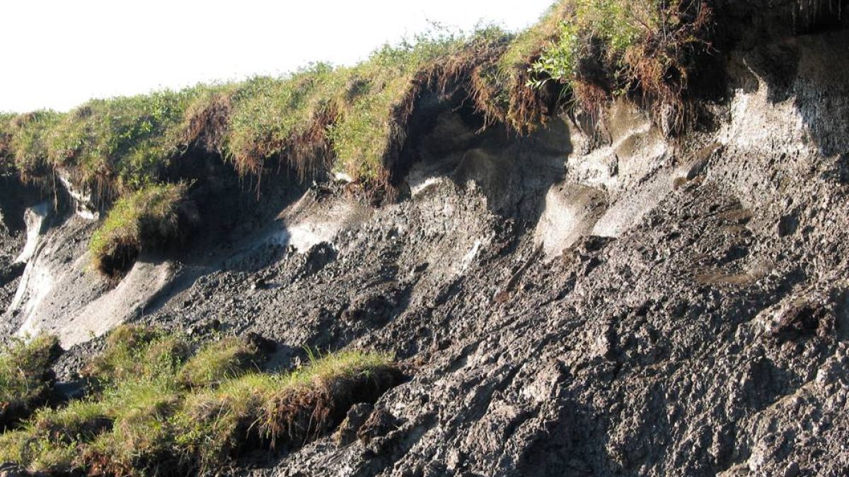 محمية نواتاك الوطنية في ألاسكا بفعل عوامل التعرية وتدهور التربة بسبب الاحتباس الحراري، جامعة فلوريدا.