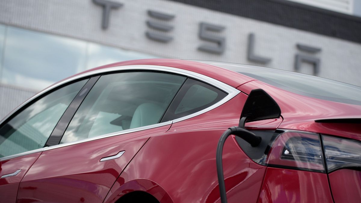 Tesla'nın ürettiği elektrikli araçlar 