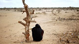Les Somaliens face à l'avancée du désert