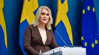 Sweden's Minister for Health and Social Affairs Lena Hallengren gives a news conference in Stockholm.