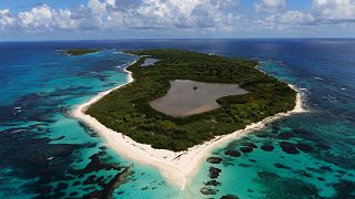 Petite Terre, as pequenas ilhas que são a grande casa de iguanas, pássaros e corais