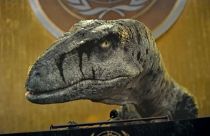 El dinosaurio Frankie en la ONU