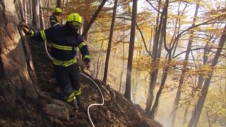 Feuerwehrleute bei Löscharbeiten