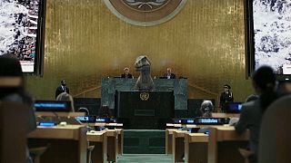 Динозавр Фрэнки выступает в ООН