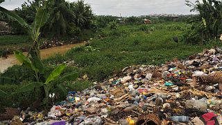 Start-up in Cameroon offers new hope in the fight against plastic pollution