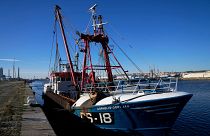 Licences de pêche : Londres convoque l'ambassadrice française