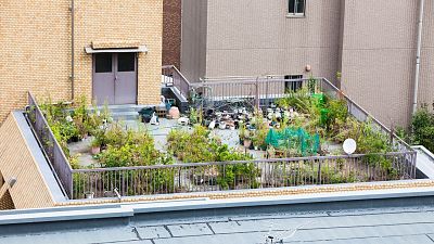 The garden rooftop on top of a supermarket in Brussels. 