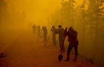 A füstben gyakran lehetetlenné teszi az oltást - tűz egy orosz erdőben 2021-ben