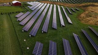 ABD'nin Maryland eyaletinde bir güneş paneli santrali.
