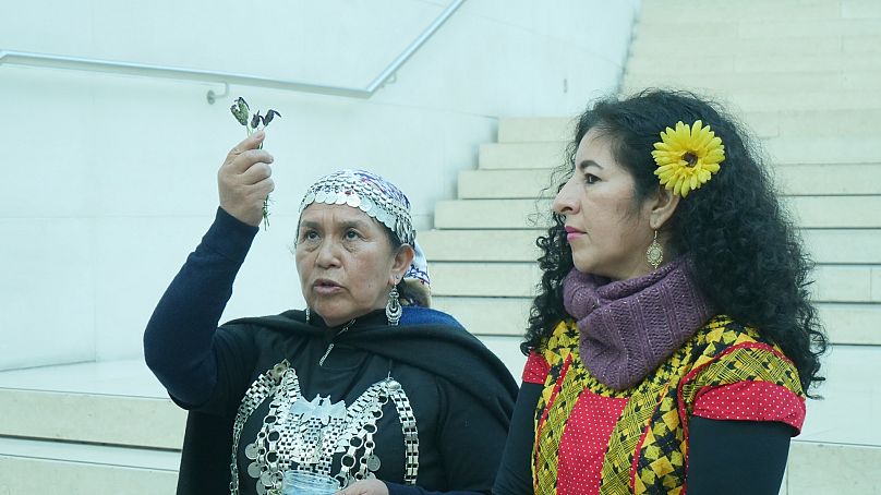 Minga Indígena COP26 collective