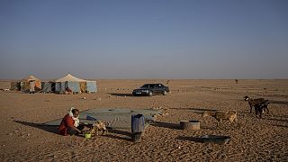 UN Security Council calls for W.Sahara talks, renews mission