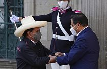 Pedro Castillo y Luis Arce se dan la mano en La Paz, Bolivia
