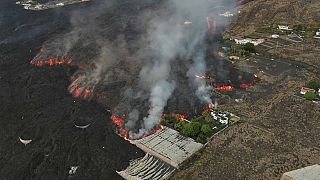Seis semanas de erupción volcánica en La Palma