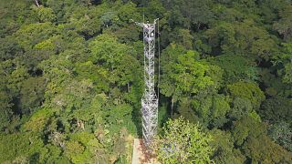 Κονγκό: Το τροπικό δάσος και το ευρωπαϊκό πρόγραμμα για την κλιματική αλλαγή και τη βιοποικιλότητα 
