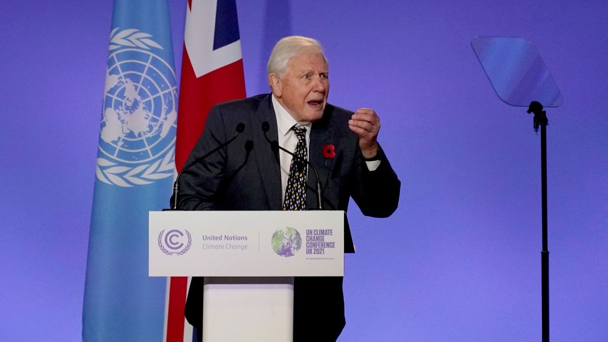Sir David Attenborough addresses world leaders at COP26