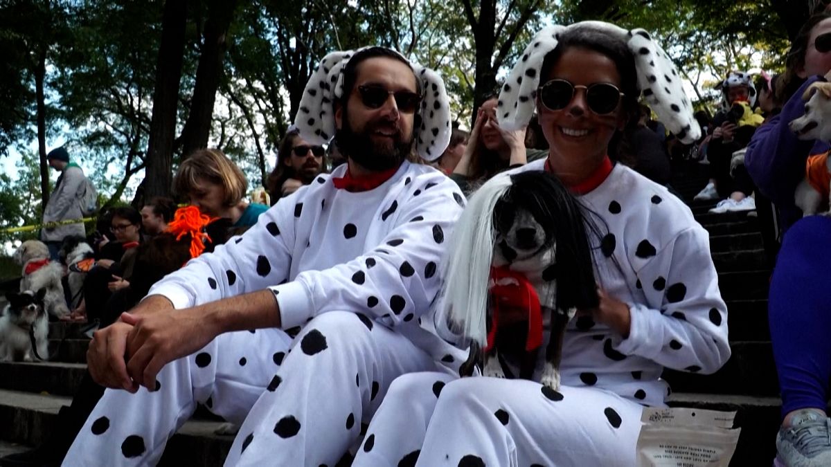 شاهد: مسابقة لاختيار أفضل أزياء الكلاب في نيويورك 