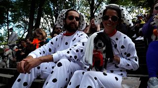 Dog owners dressed as dalmatians with their dog dressed as Cruella.