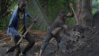 Des travailleurs en République du Congo, préparent du makala