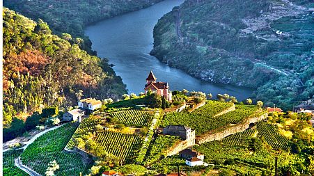 Portugal's Douro Valley