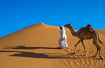 The Arabian desert