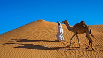 The Arabian desert