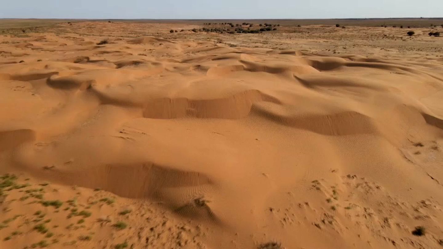 Russia at the forefront of climate change as desert expands in Kalmykia |  Euronews