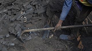 RDC : une association valorise une alternative au charbon de bois