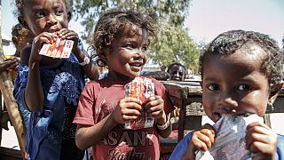 Madagascar au bord de la "famine climatique"