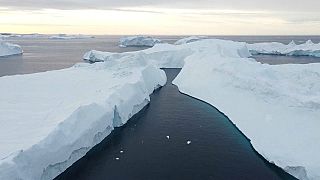 Ледники Гренландии под угрозой исчезновения
