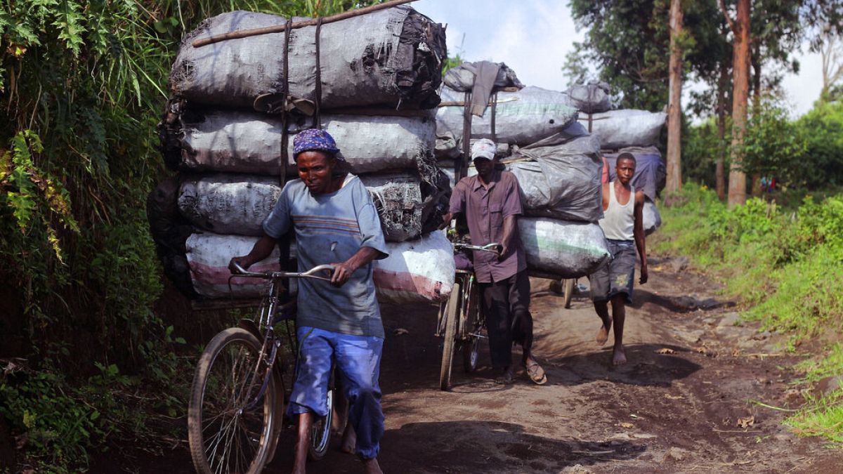Gente llevando bolsas de carbón en sus bicicletas mientras bajan una colina, 27/1/2015, Mweso, República Democrática del Congo