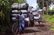 Gente llevando bolsas de carbón en sus bicicletas mientras bajan una colina, 27/1/2015, Mweso, República Democrática del Congo