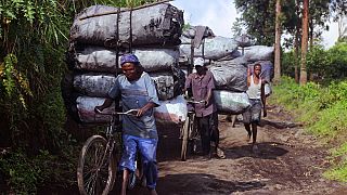 In Kongo nutzen 95% Holzkohle - ein Problem für die Wälder