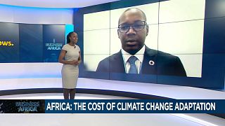 Africa: The Climate Change Dilemma [Business Africa]