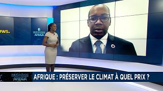 Afrique : le dilemme du changement climatique [Business Africa]