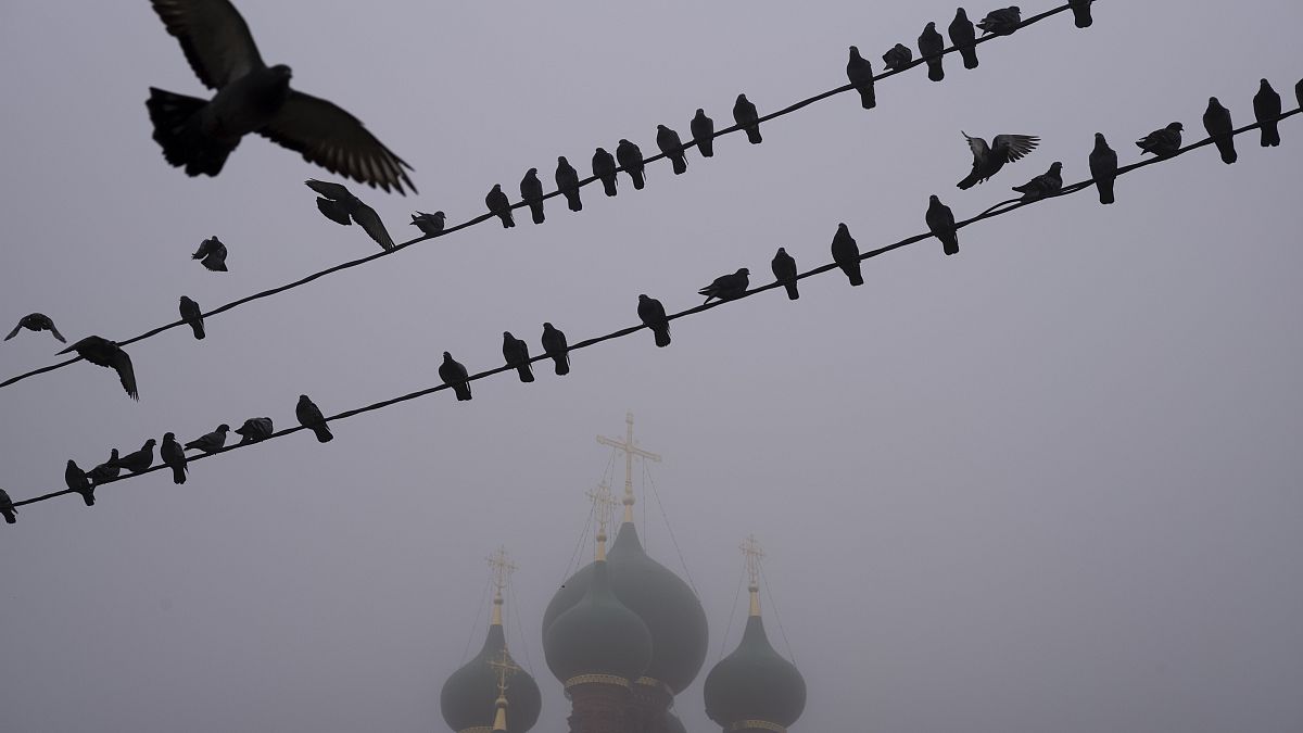Москву окутал густой туман