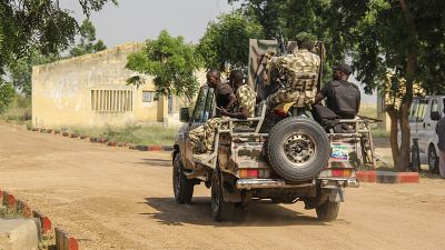 Jihadists hold 76 farmers for two days in North-East Nigeria