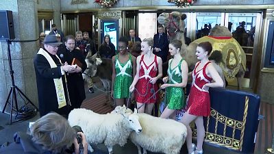 Cardinal Timothy Dolan blessing the animals that will appear in the annual Rockettes Christmas show