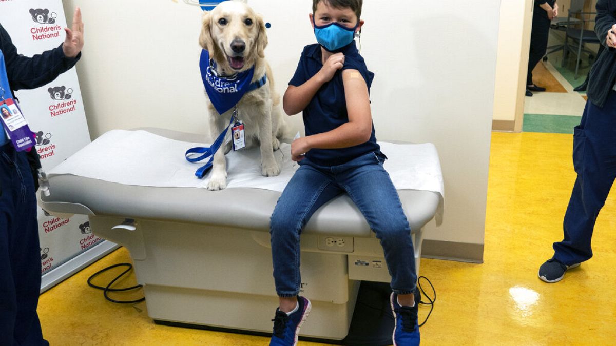 Carter Giglio, de 8 años, junto al perro Barney de Hero Dogs, muestra su brazo tras recibir la vacuna contra la covid. Washington, EEUU 3/11/2021