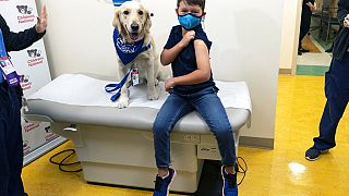 Carter Giglio, de 8 años, junto al perro Barney de Hero Dogs, muestra su brazo tras recibir la vacuna contra la covid. Washington, EEUU 3/11/2021