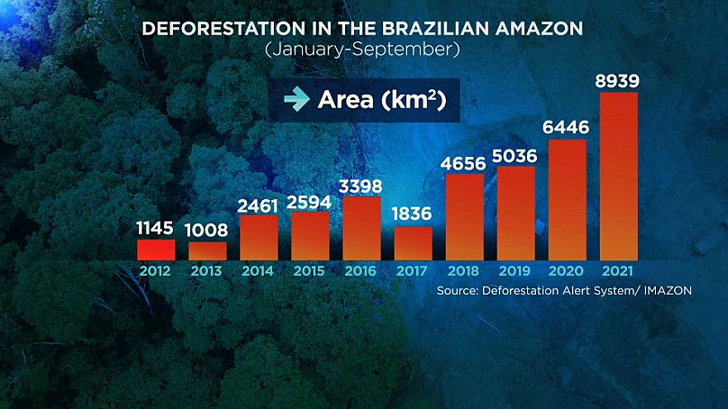 Sistema de Alerta de Desflorestação/IMAZON/Euronews