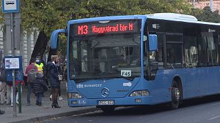 M3-as pótlóbusz Budapesten