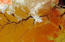 A satellite capture of the Amazon rainforest.