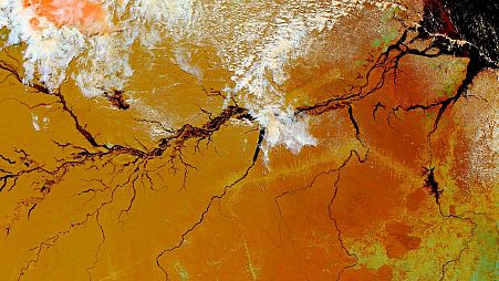 A satellite capture of the Amazon rainforest.