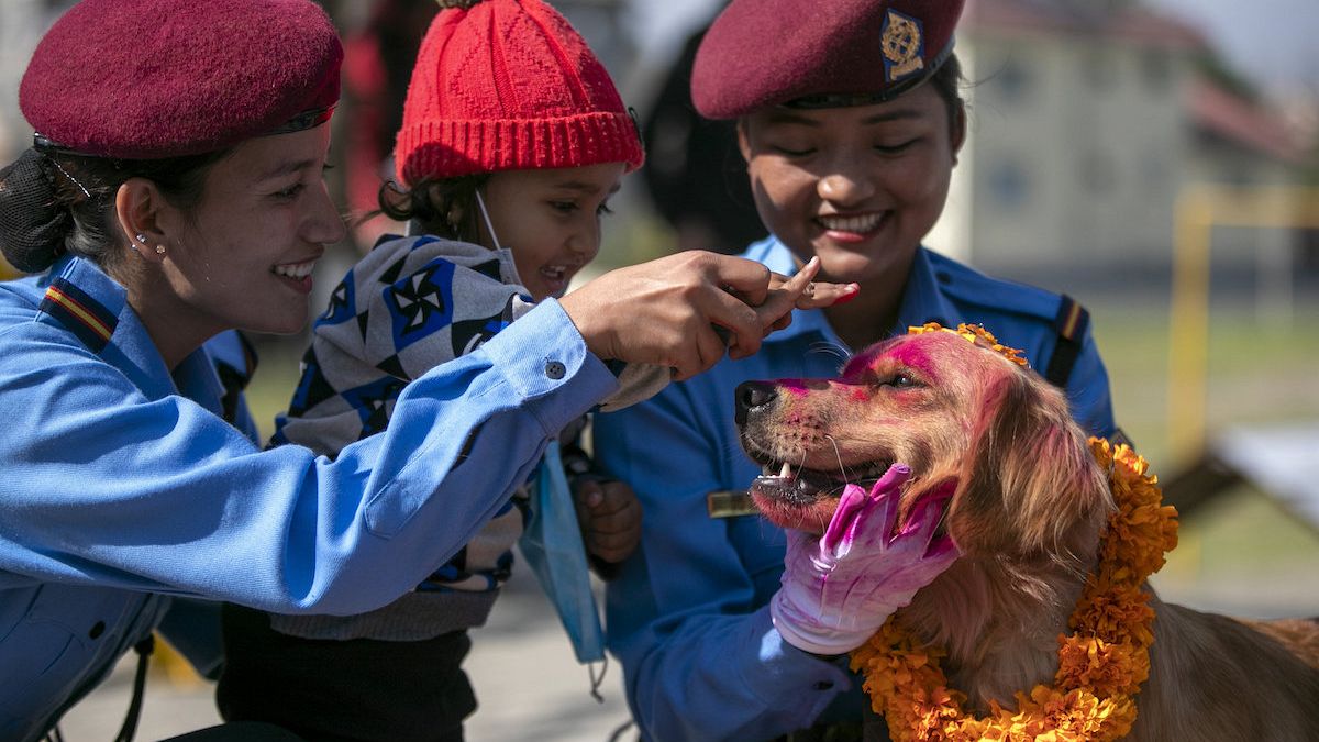 Nepalese police officers and a child worship a police dog during Tihar festival celebrations. 